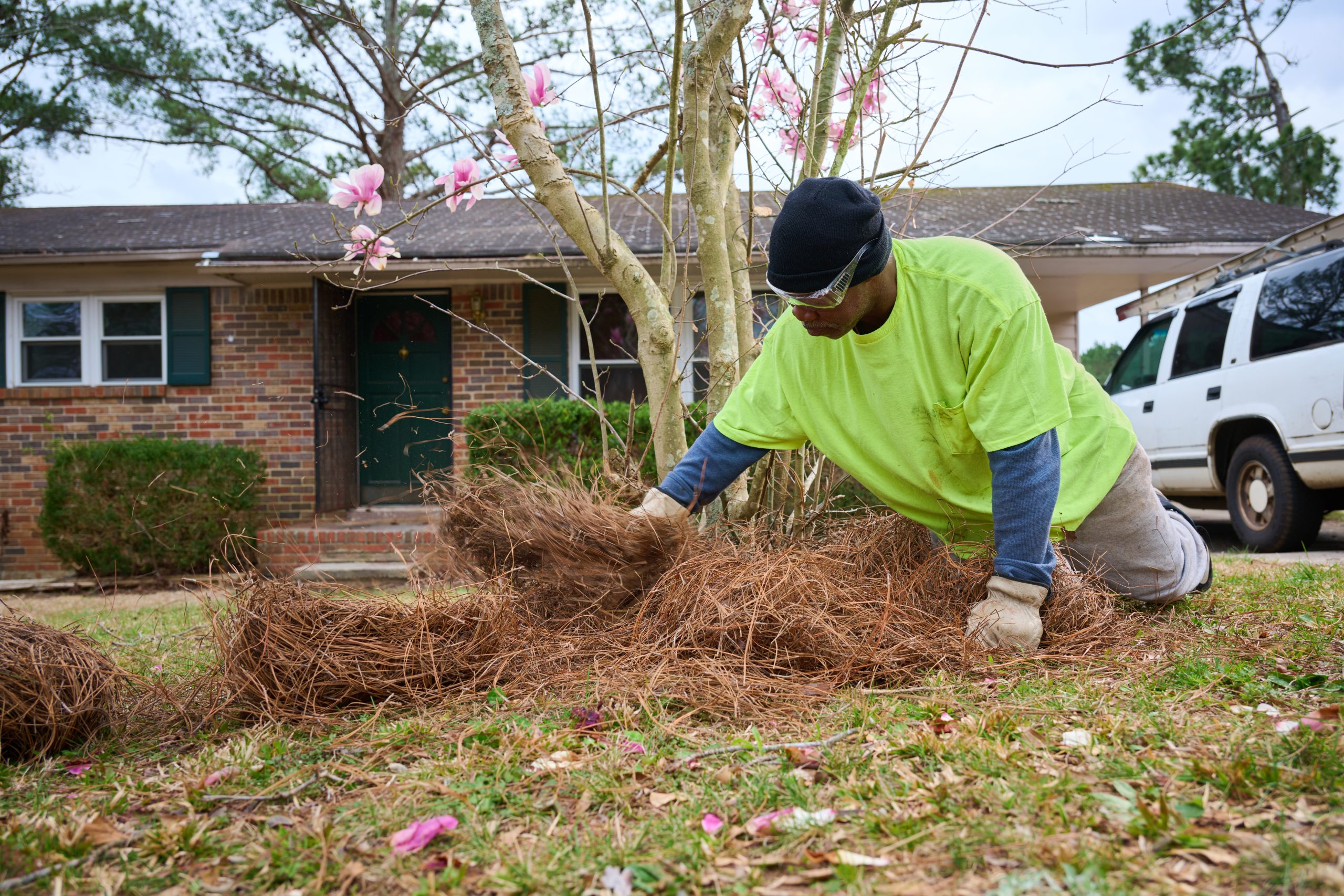 African American male spreading pine straw around a tree in front of a house